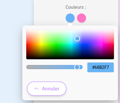 Woksite vous permet de définir des deux couleurs principales de votre site internet.
Ce choix restreint de couleurs vous aide a obtenir une apparence professionnelle, en évitant de multiplier les couleurs sur votre site.
