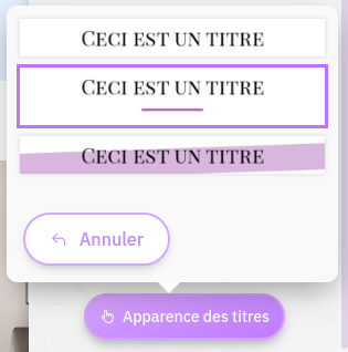 Vous pouvez choisir l'apparence des titres de votre site en cliquant sur le bouton correspondant.
Dans Woksite, cette apparence des titres est appliquée uniquement sur les titres de niveau 2 (T2).