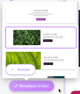 Si vous souhaitez remplacer le style du bloc par un autre, cliquez sur le bouton "Remplacer le bloc" et sélectionnez un style d'apparence.
Une fois votre choix fait, cliquez sur le bouton "valider" pour confirmer ou bien sur "annuler" pour revenir au style initial.