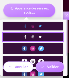 Quelques types de blocs affichent des liens vers les réseaux sociaux. Woksite vous permet de choisir l'apparence de ces liens.